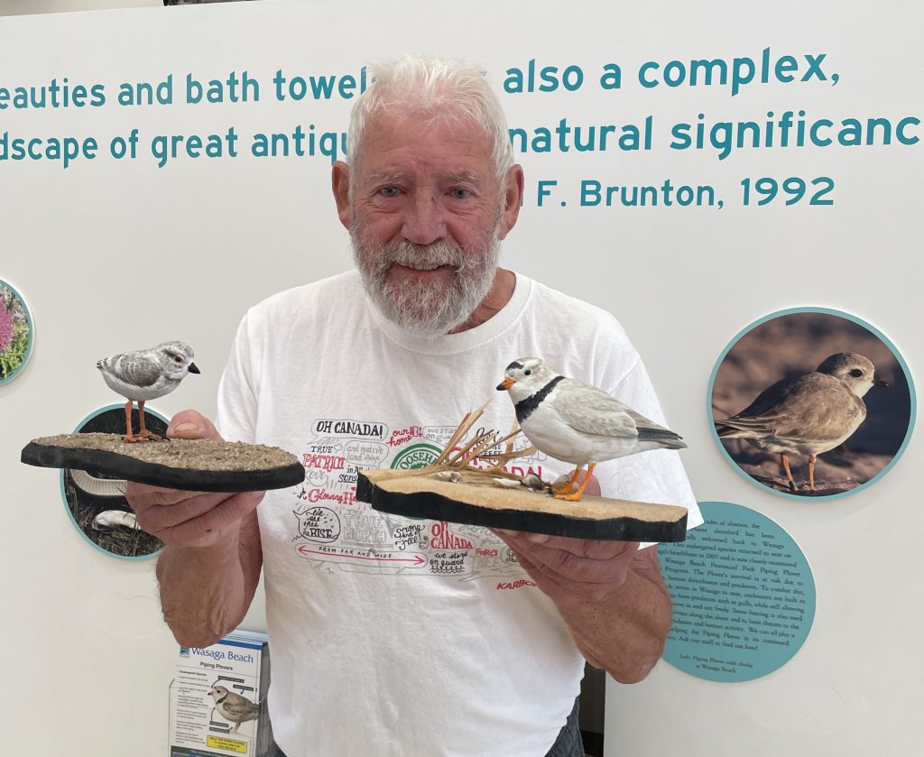 A man is holding two carvings of Piping Plovers.