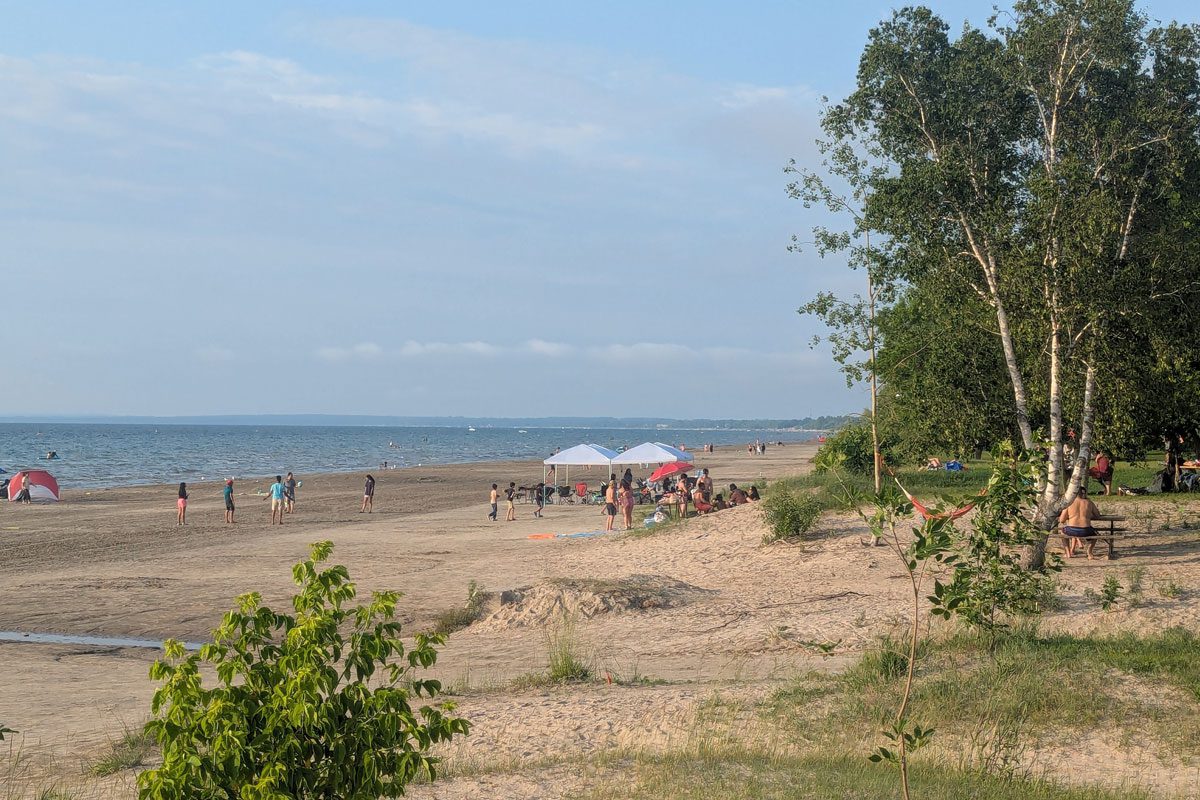 About the Park
