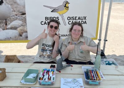 Piping Plovers 2025 Booth