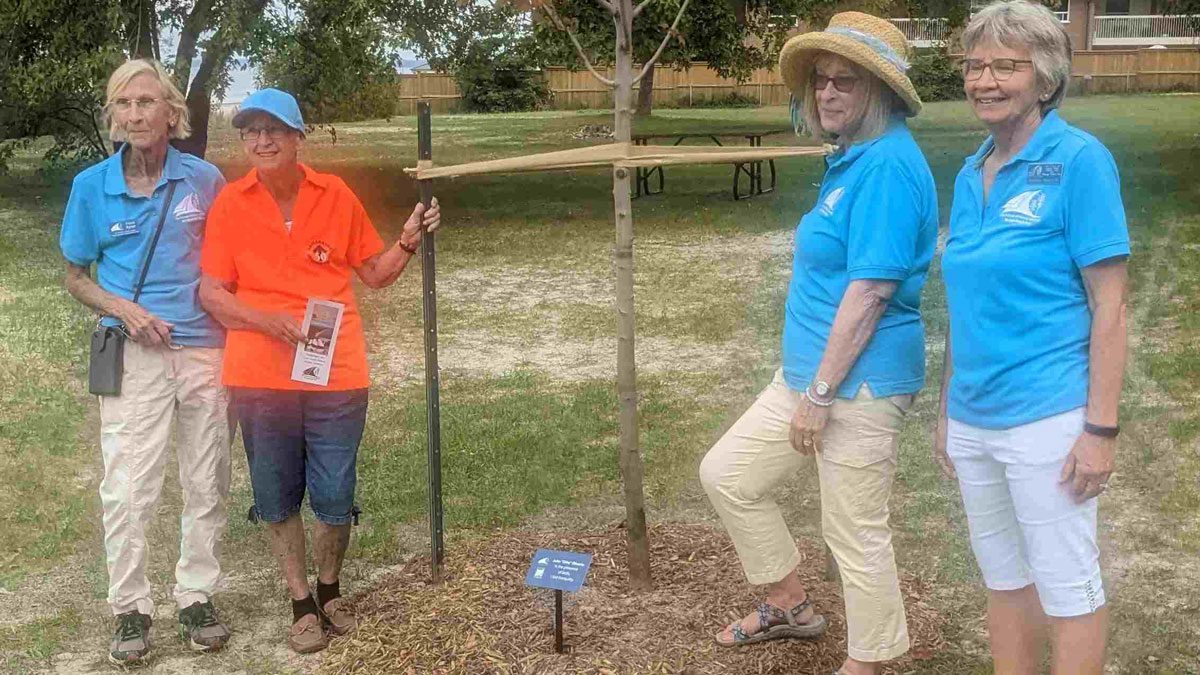 Commemorative Tree Planting Commemorative Tree Program dedication beside a newly planted tree